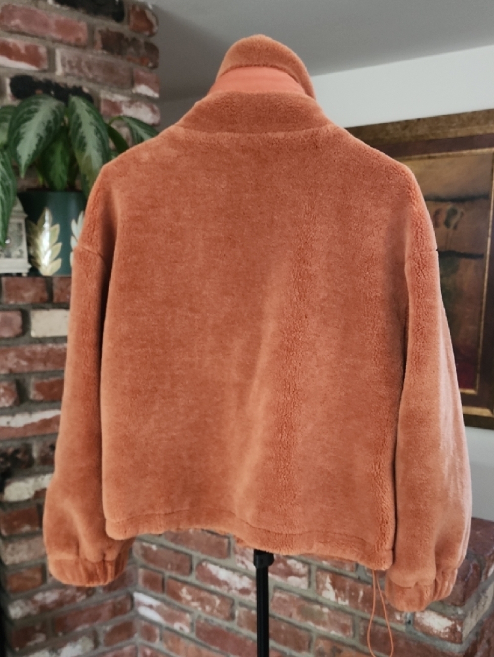 Anthropologie Elodie Sherpa Jacket Medium Tan Teddy Faux Shearling Cozy Cropped - Picture 6 of 12